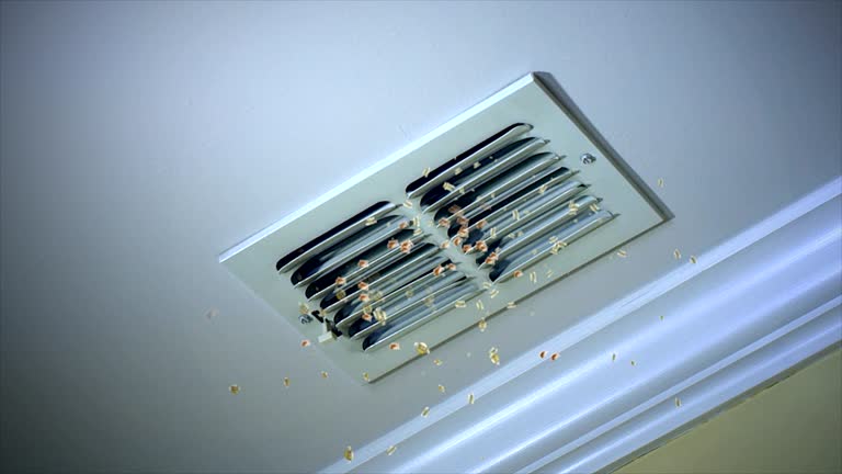 Best Air Duct Cleaning Near Me  in Payson, IL