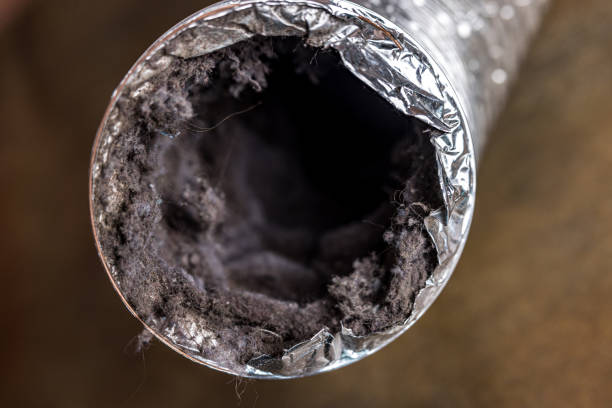 Best Affordable Air Duct Cleaning  in Payson, IL